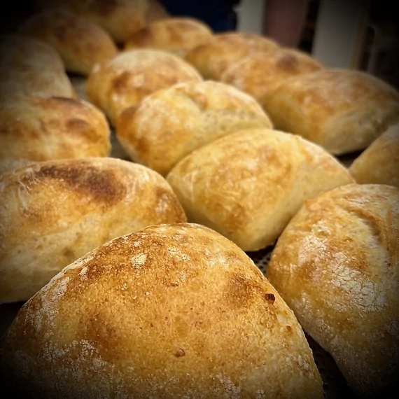 CIABATTA (2025-07-22)